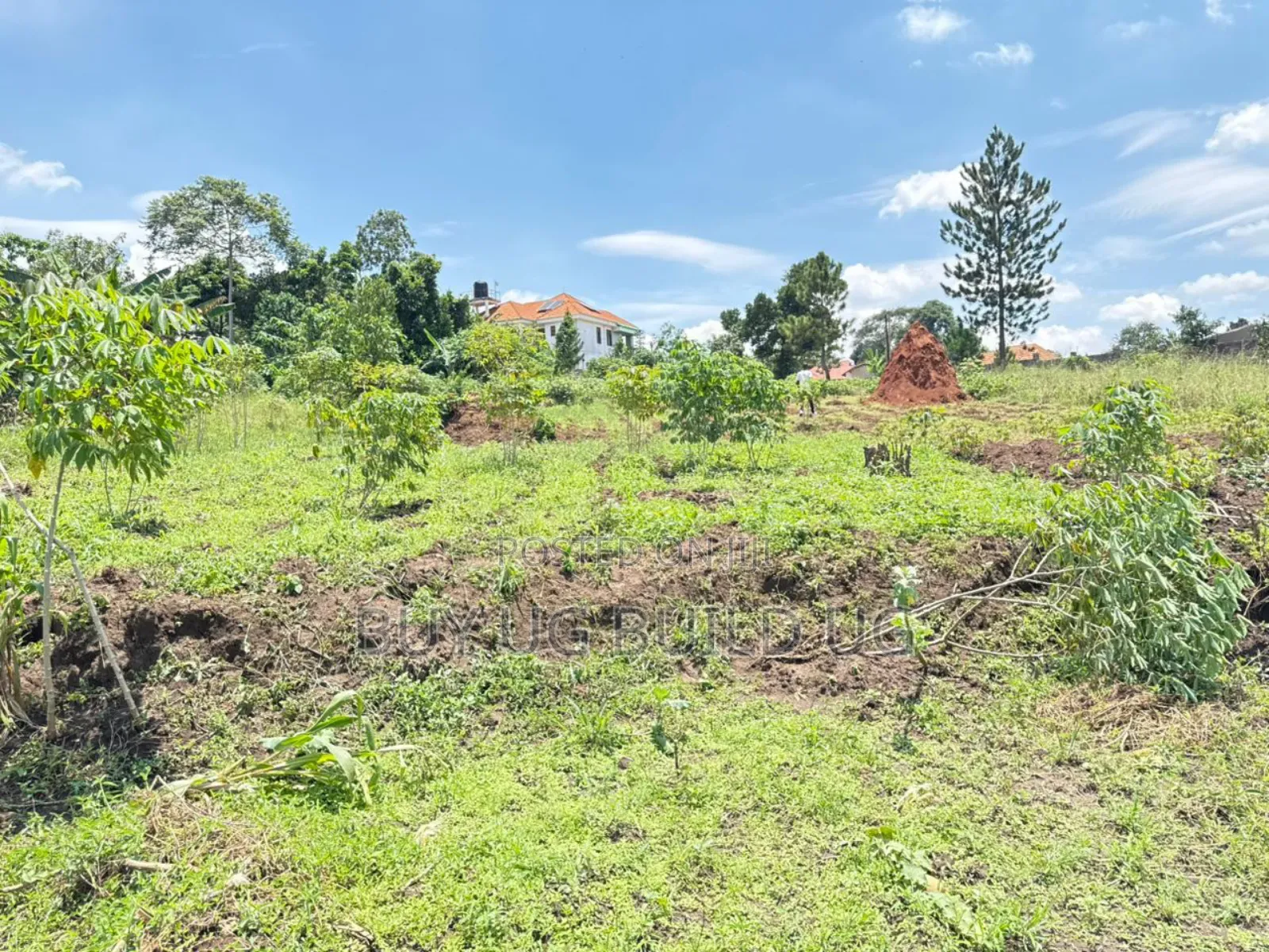 4 Acres of Land for Sale Located in Kira at 300m Per Acre Private Mailo