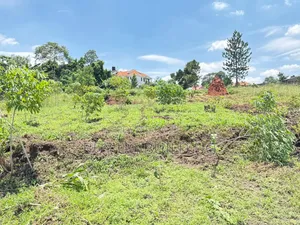 4 Acres of Land for Sale Located in Kira at 300m Per Acre Private Mailo