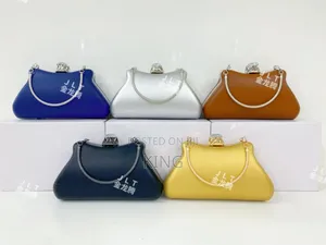 Compact Chic Accessory Clutch Bag/Wallet