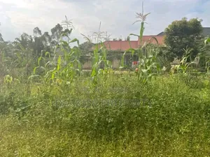 40ft by 50ft Plot on Sell in Matugga Buwambo