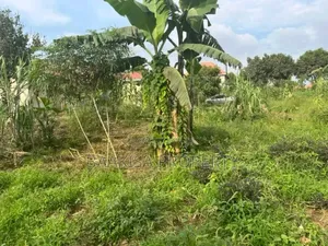 40ft by 50ft Plot on Sell in Matugga Buwambo