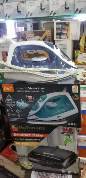 Steam Iron Raf