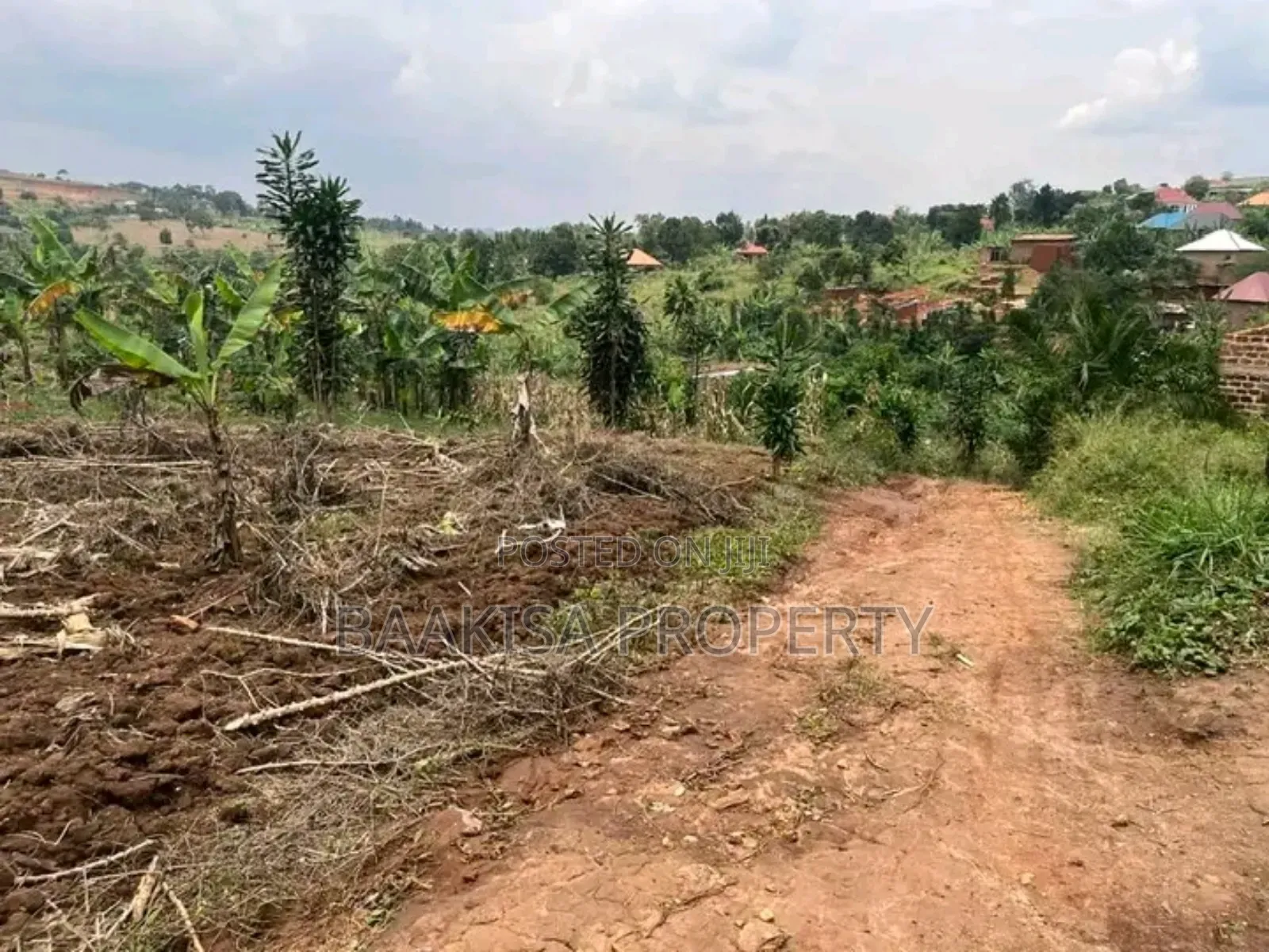 50ft by 25ft Plots on Sell in Matugga Buwambo Good
