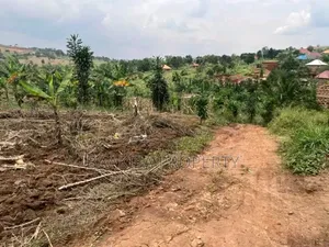 50ft by 25ft Plots on Sell in Matugga Buwambo Good