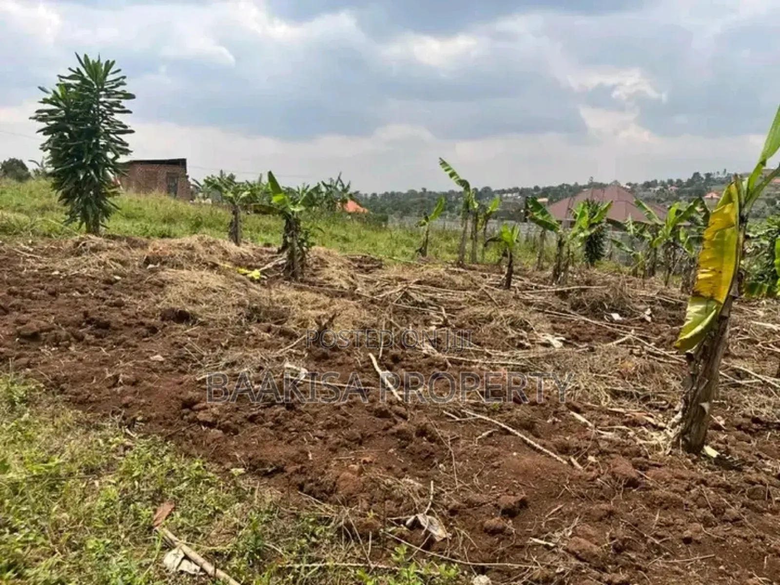 50ft by 25ft Plots on Sell in Matugga Buwambo Good