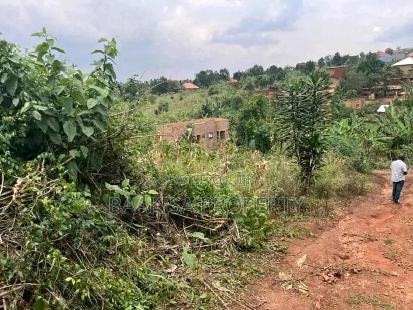 50ft by 25ft Plots on Sell in Matugga Buwambo Good