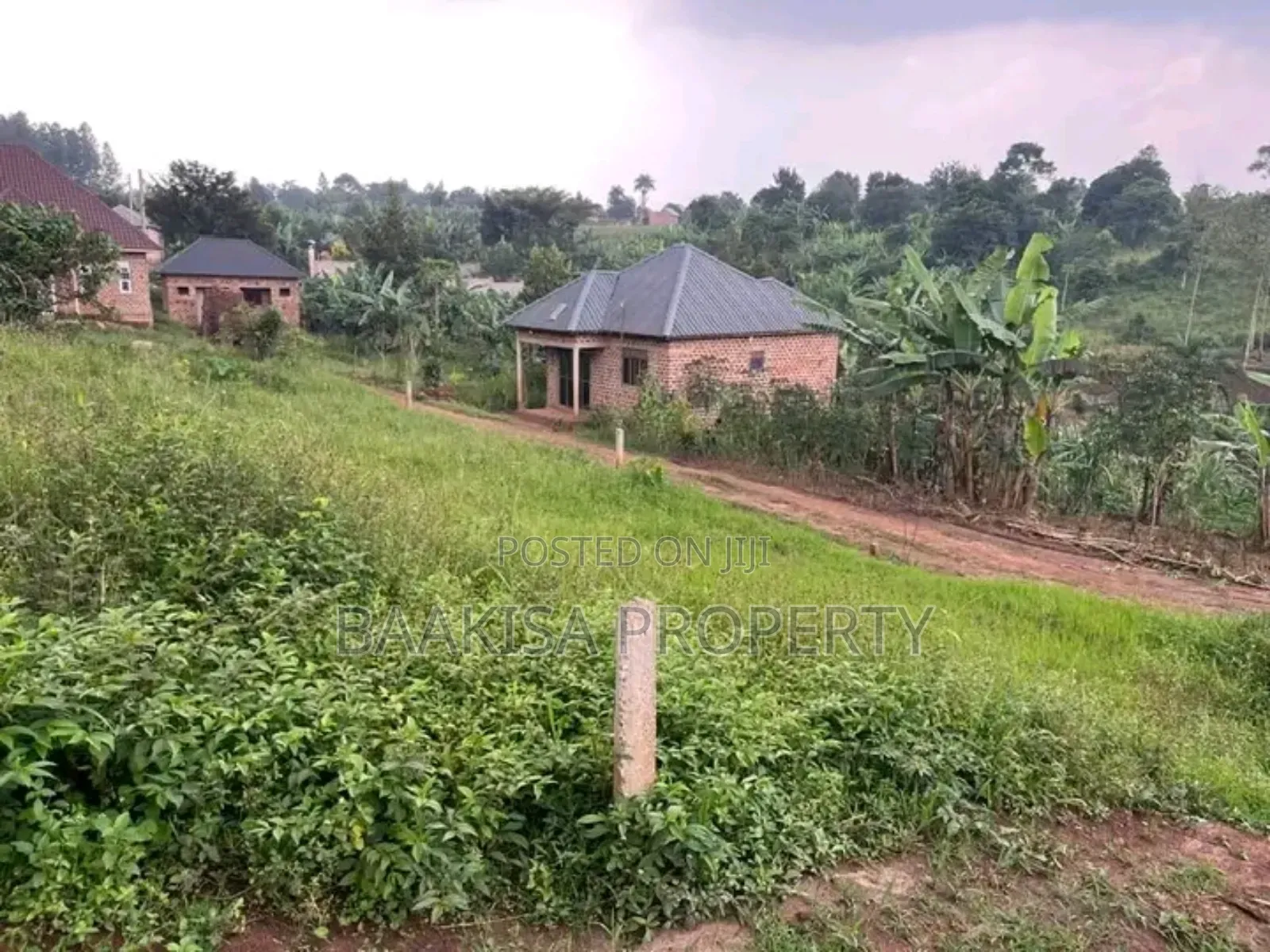 50ft by 50ft Plot on Sell in Matugga Buwambo