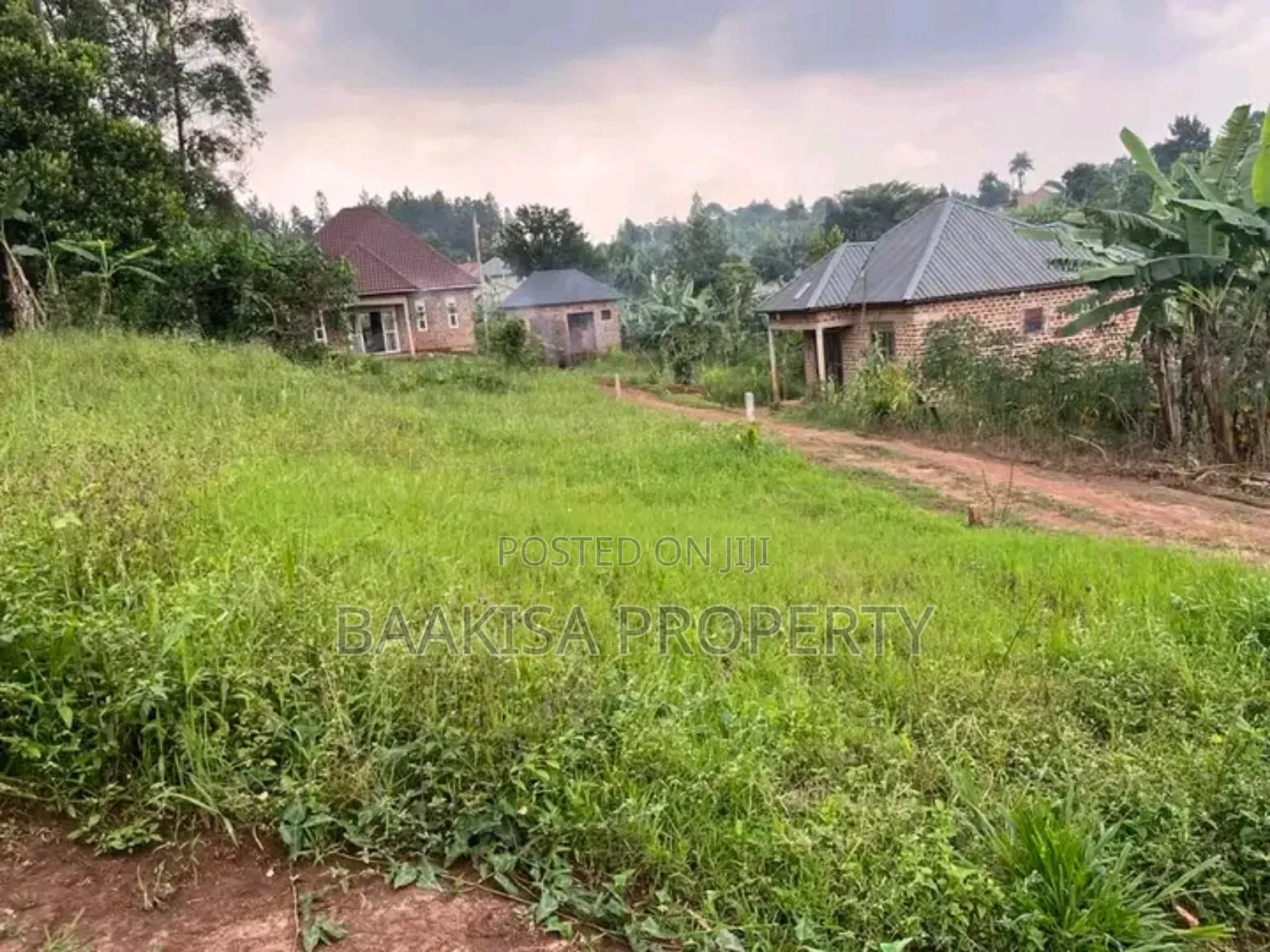 50ft by 50ft Plot on Sell in Matugga Buwambo