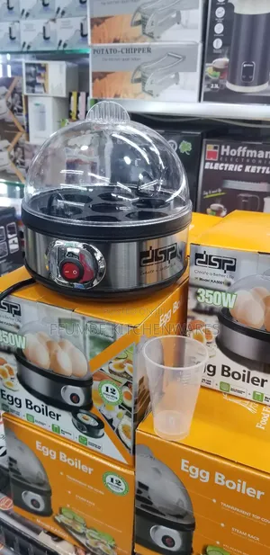 Egg Boiler DSP