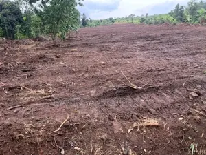 100ft by 50ft Plot on Sell in Matugga Buwambo