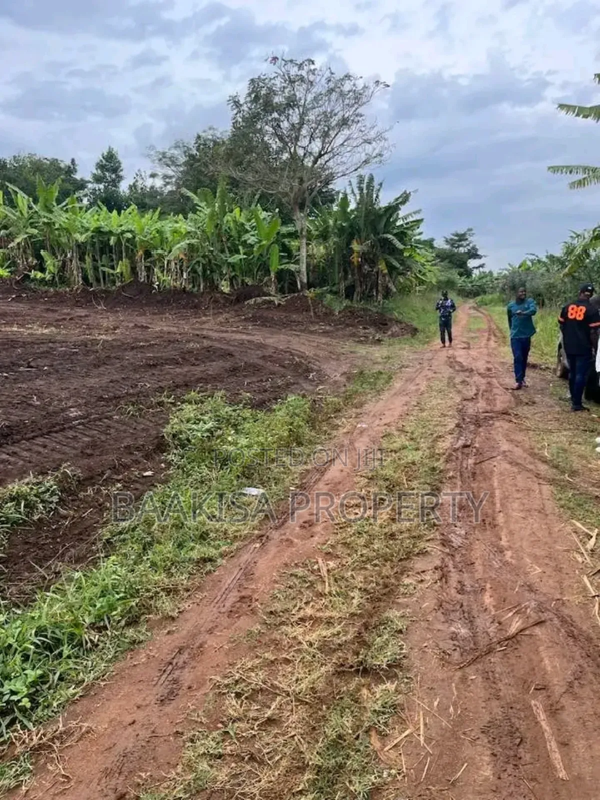 100ft by 50ft Plot on Sell in Matugga Buwambo