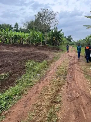 100ft by 50ft Plot on Sell in Matugga Buwambo