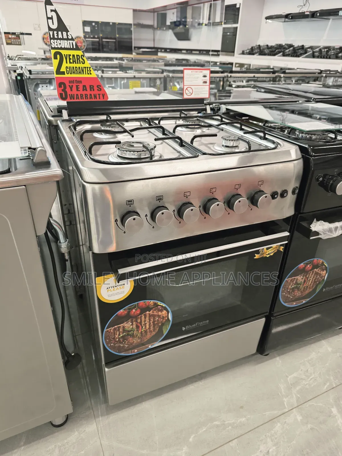 20% Discount Sales on Blueflame 60cm*60cm Full Gas Self Ignited Oven