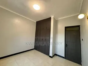 Slik Vinly Paint for Interior