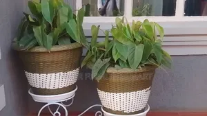 Flower Potts