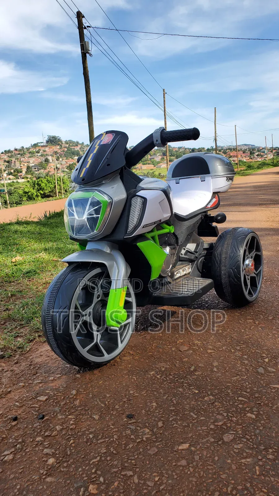 Green Domany Bike