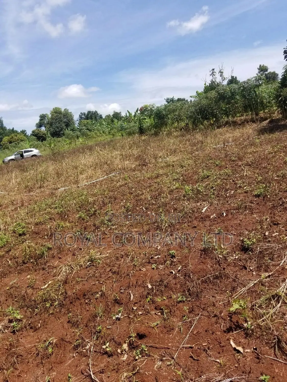 A Plot of Land 50by100 in Mpigi