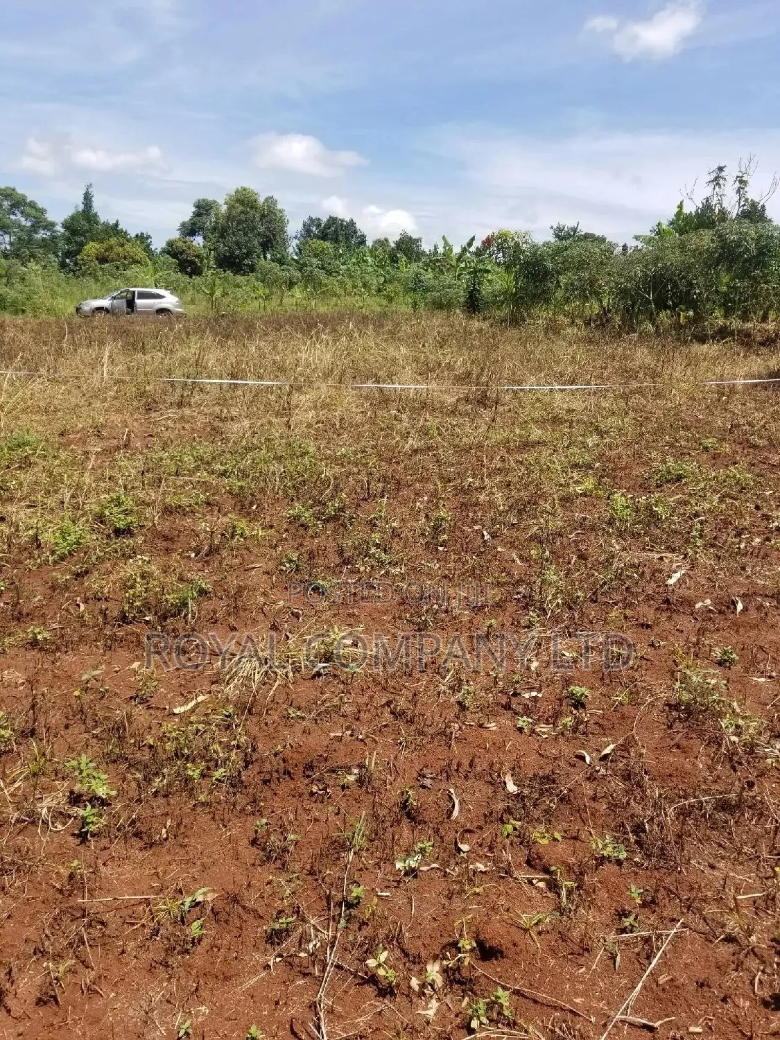 A Plot of Land 50by100 in Mpigi