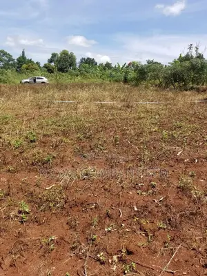 A Plot of Land 50by100 in Mpigi