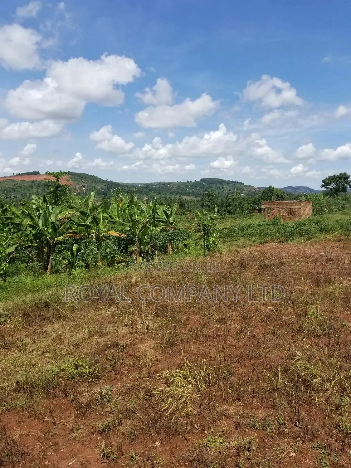 A Plot of Land 50by100 in Mpigi