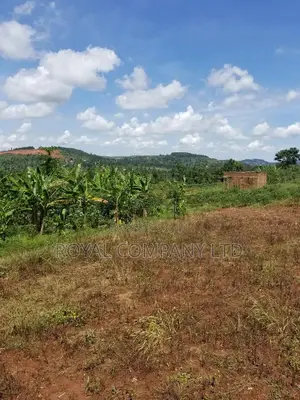 A Plot of Land 50by100 in Mpigi