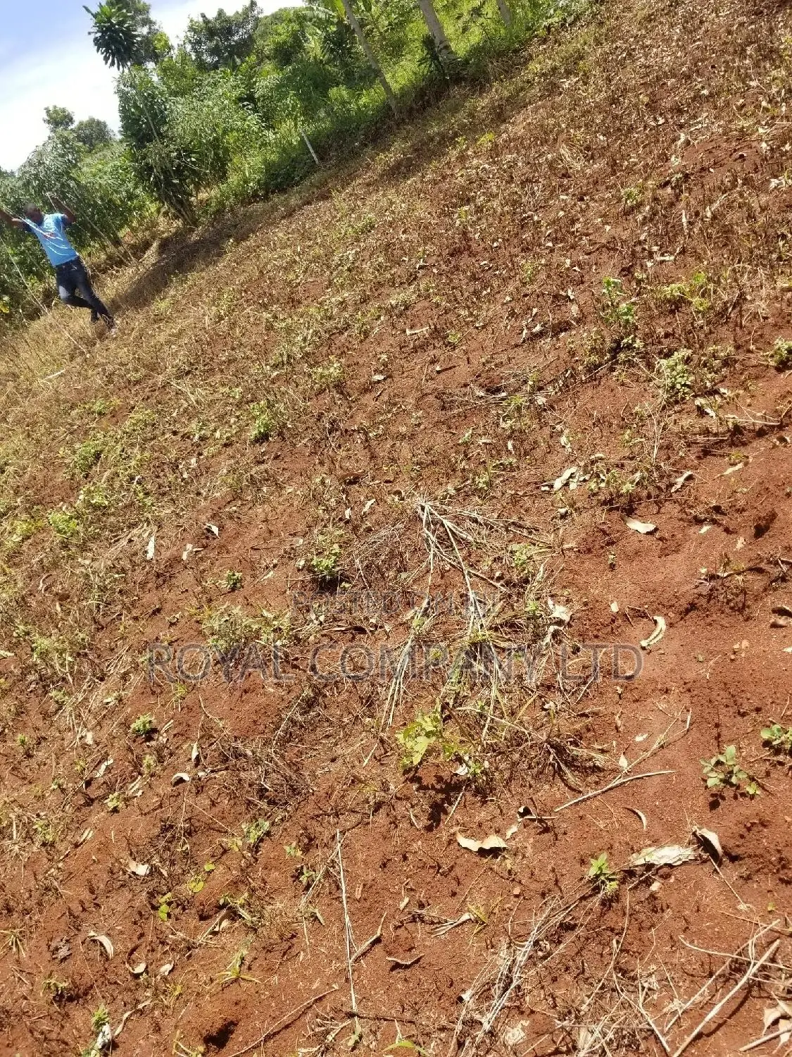 A Plot of Land 50by100 in Mpigi