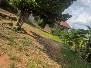 53 X 90 Plot Available With a House
