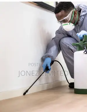 Termite Control