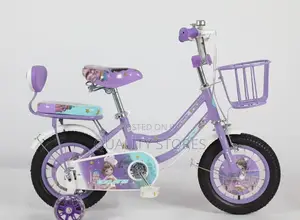 Carrier Kids Bicycle Purple 1 to 9 Years