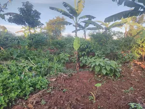 Plot Of Land Sell