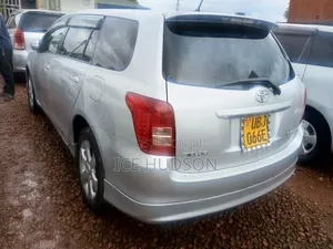 Toyota Corolla Fielder 2010 Silver