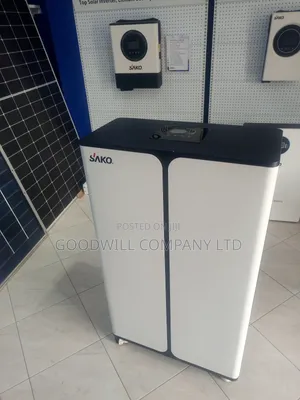 All in One 15kwh Lithium Battery 11kva Hybrid Inverter Power Station