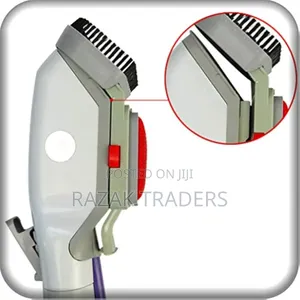 Steam Iron Brush Portable Electric Dry Steam Cleaning Clean Iron Brush