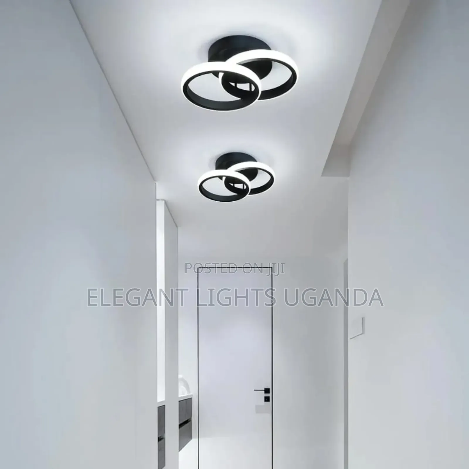 Ceiling Lights