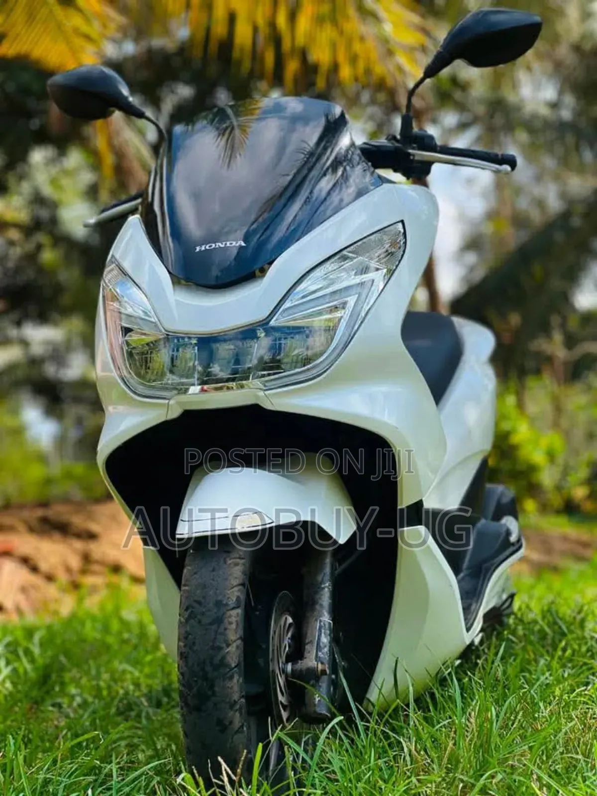Honda 2017 White