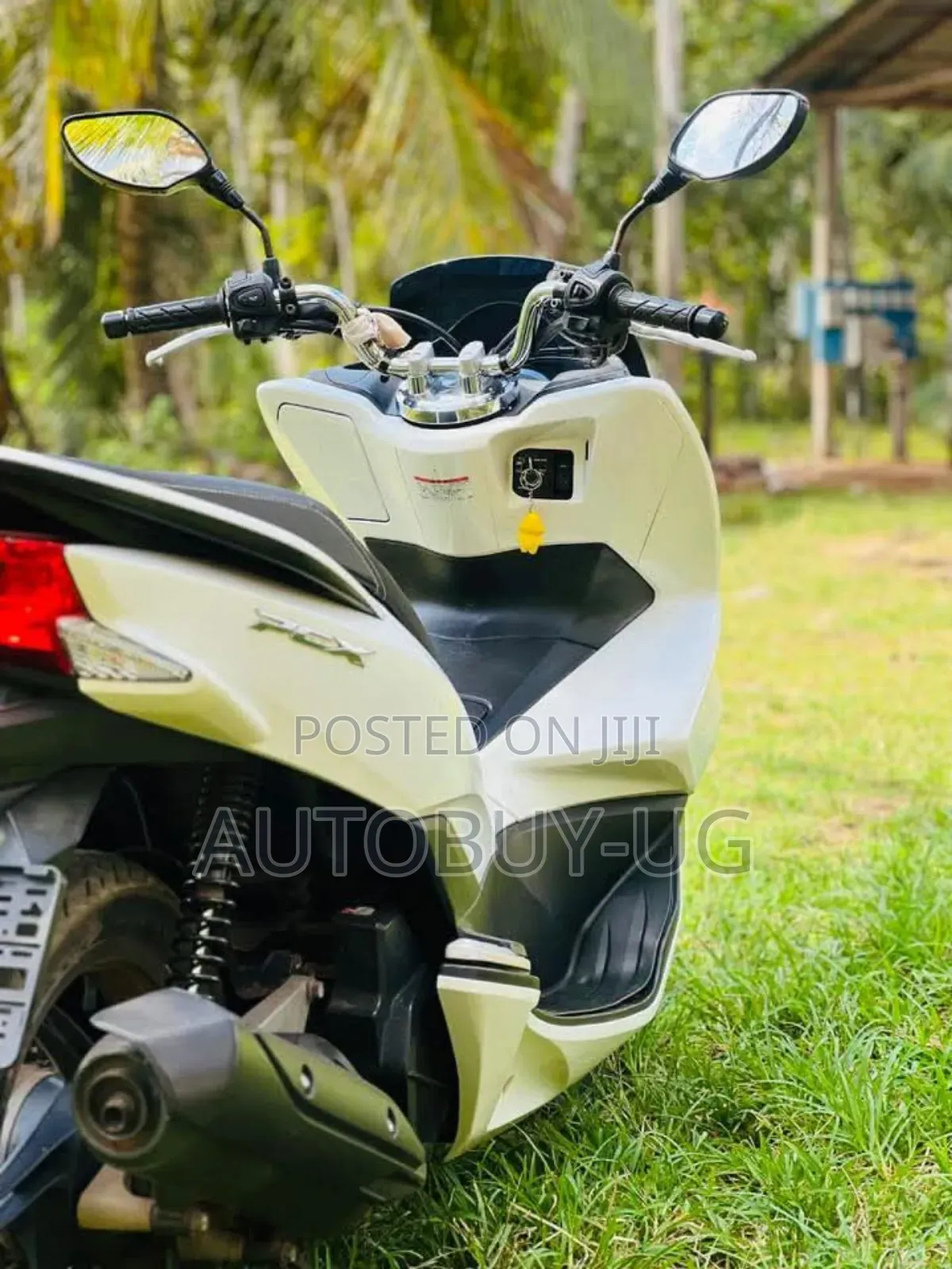 Honda 2017 White