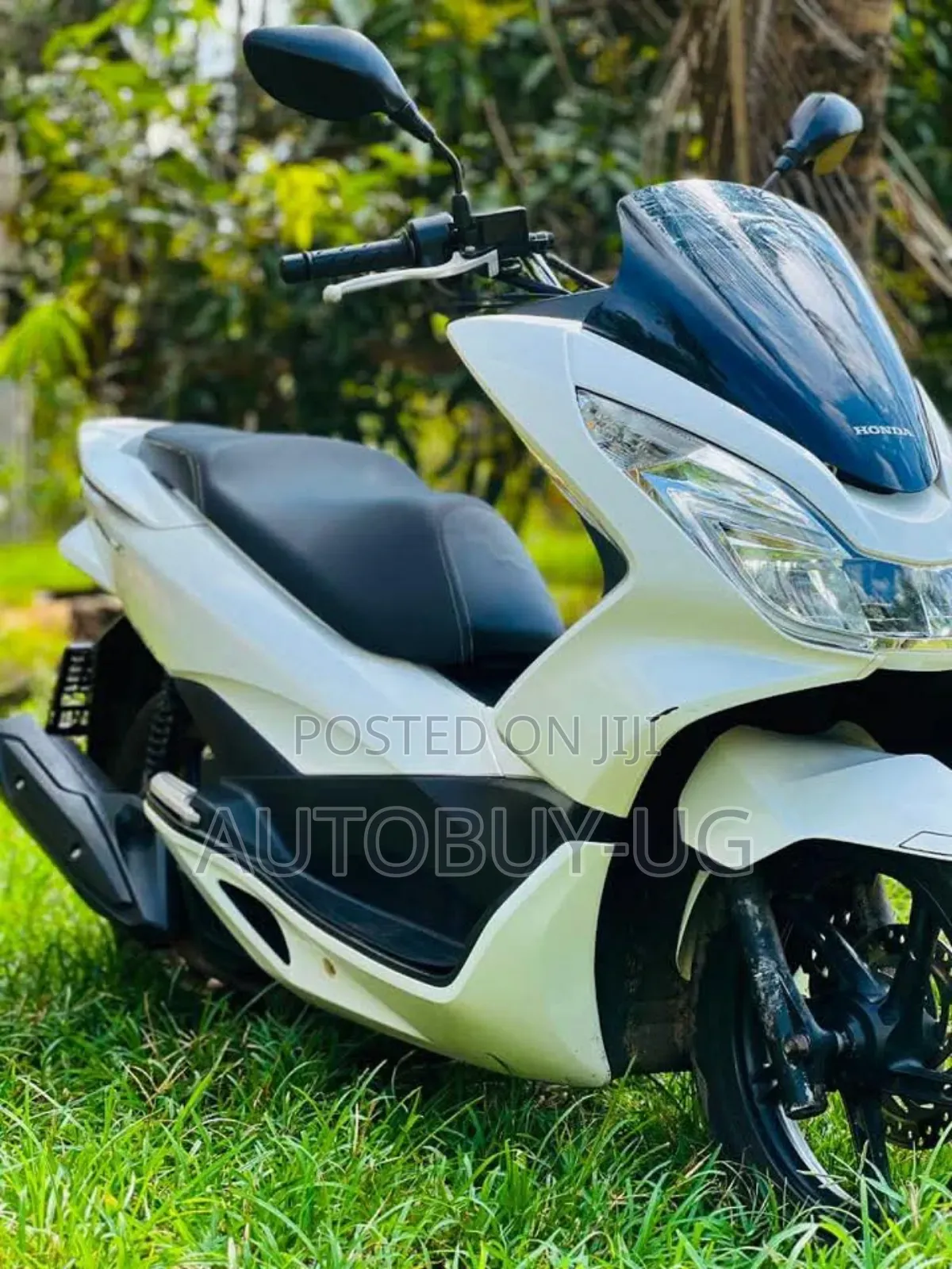 Honda 2017 White