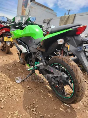 Kawasaki Ninja 300 2016 Green
