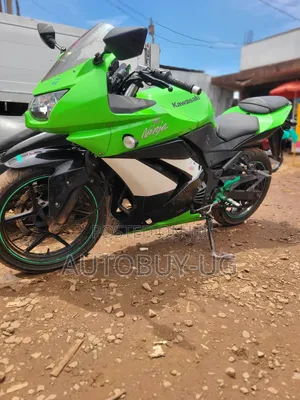 Kawasaki Ninja 300 2016 Green