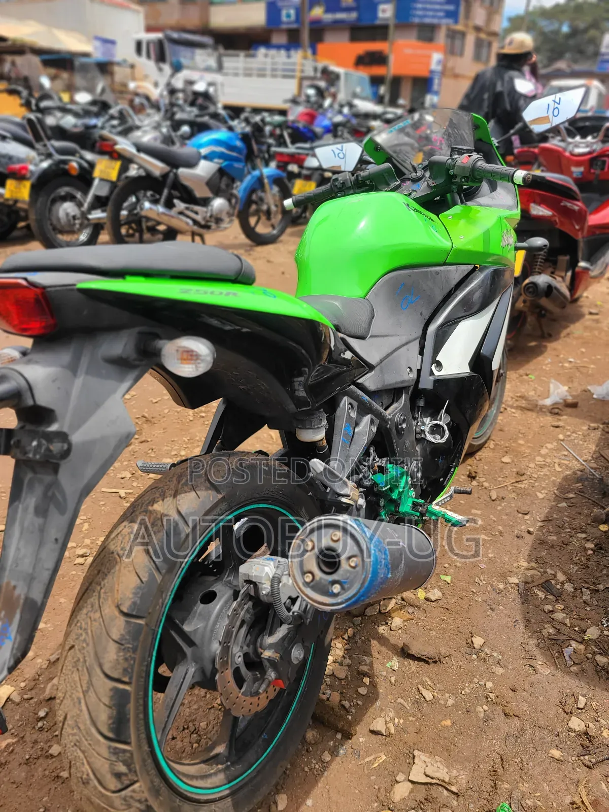 Kawasaki Ninja 300 2016 Green