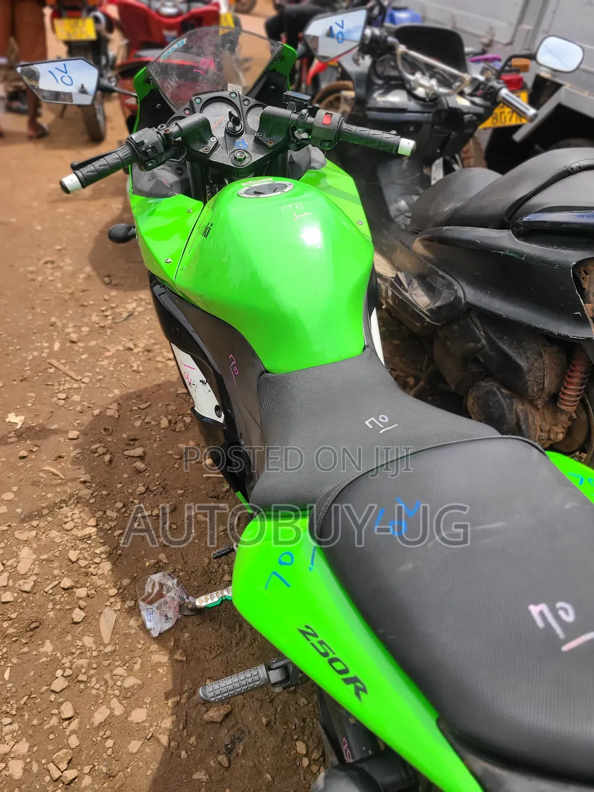 Kawasaki Ninja 300 2016 Green