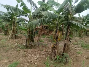 Land on Sale in Nakaseke Kapeka