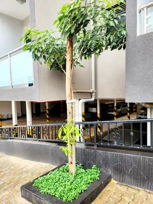 1bdrm Apartment in Kira Mulawa for rent