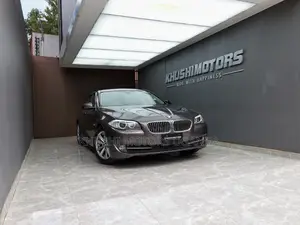 BMW 5 Series 2013 Brown