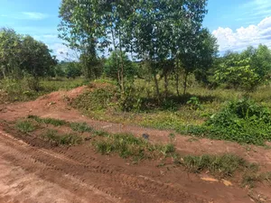 9 Acres of Land in Namanve Industrial Park