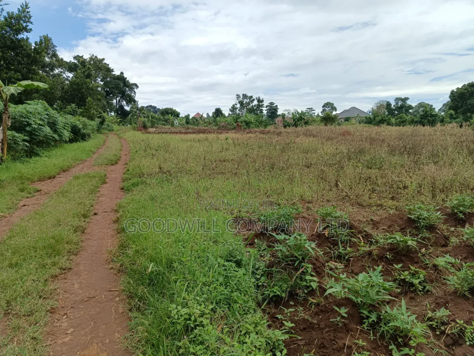 12 Acres of Land in Kijabijjo Gayaza
