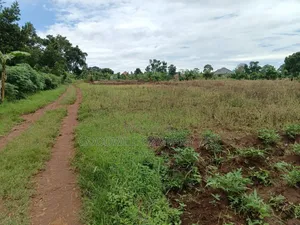 12 Acres of Land in Kijabijjo Gayaza