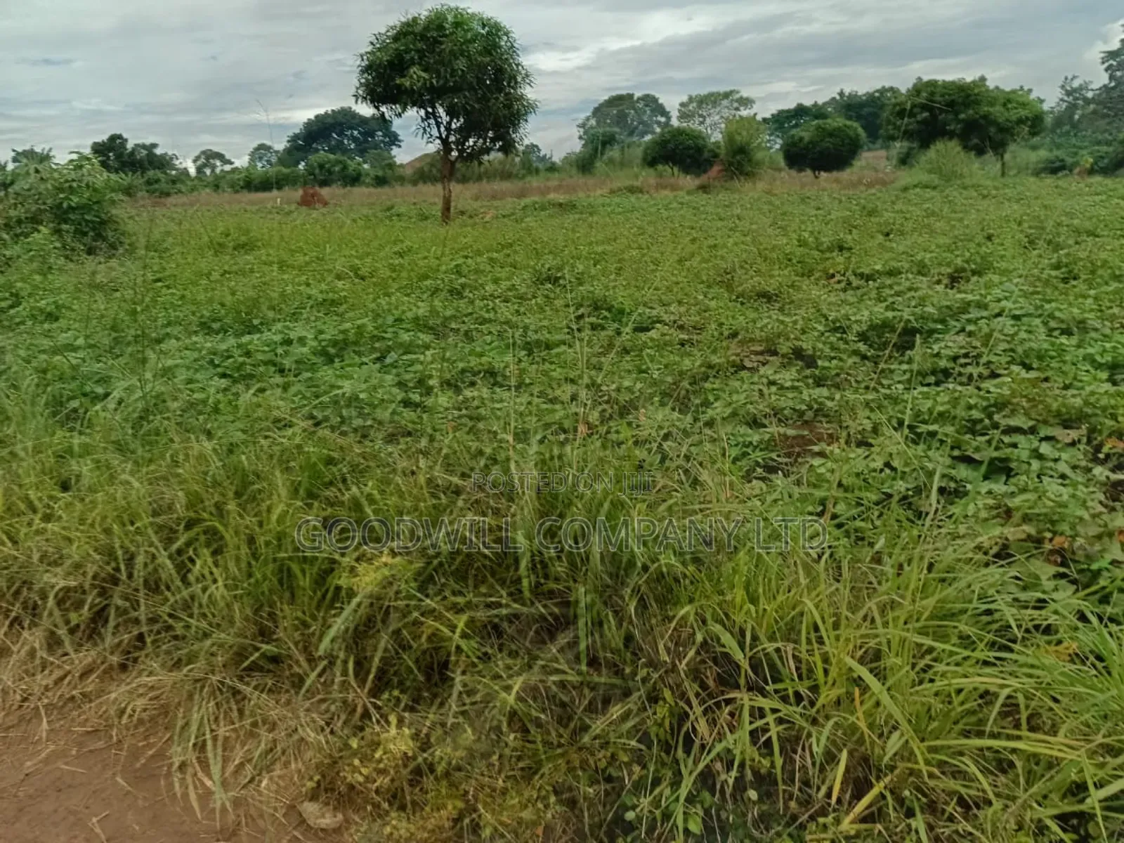 12 Acres of Land in Kijabijjo Gayaza