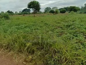 12 Acres of Land in Kijabijjo Gayaza