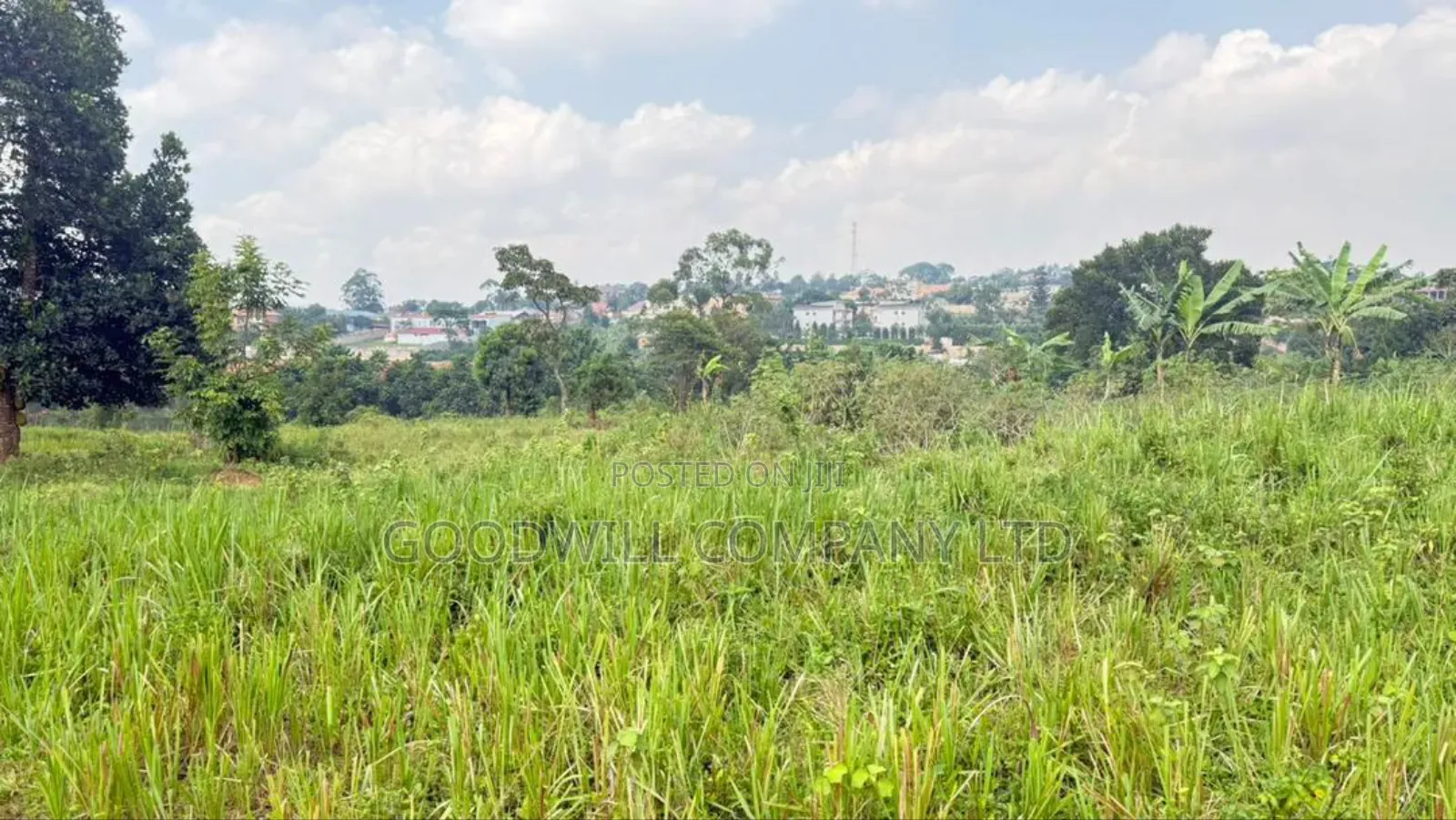 3 Acres of Land in Kira Behind Green Hill School
